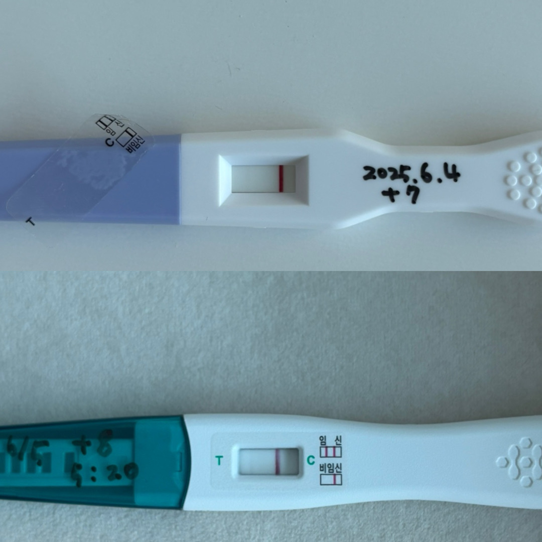 난포주사 후 임테기