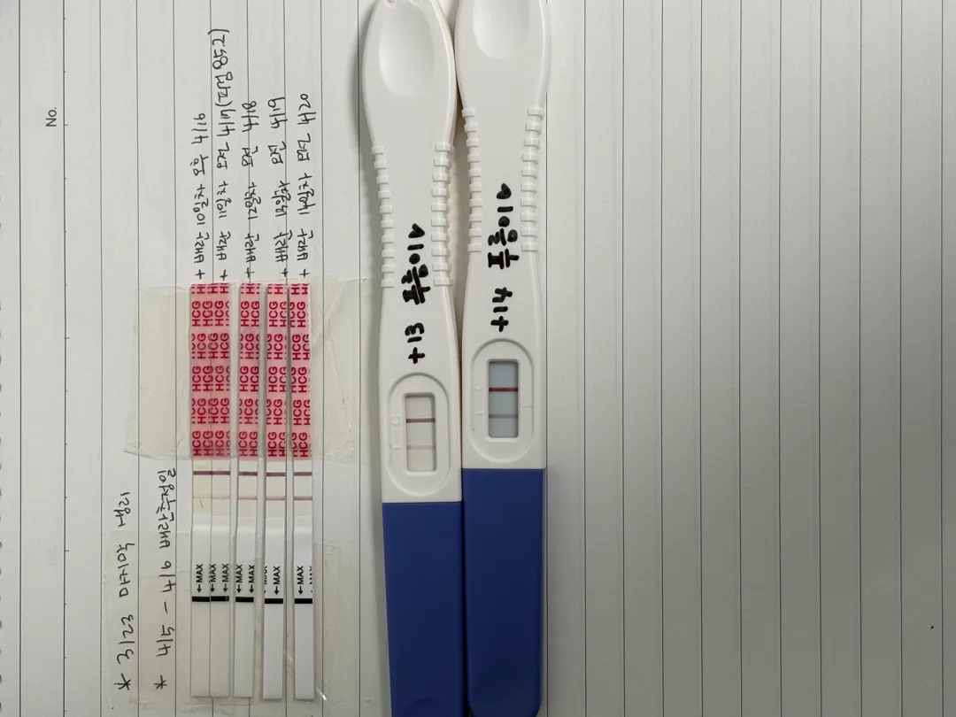 4/5 예상배란일 잘 진해지고 있는거 맞을까요?