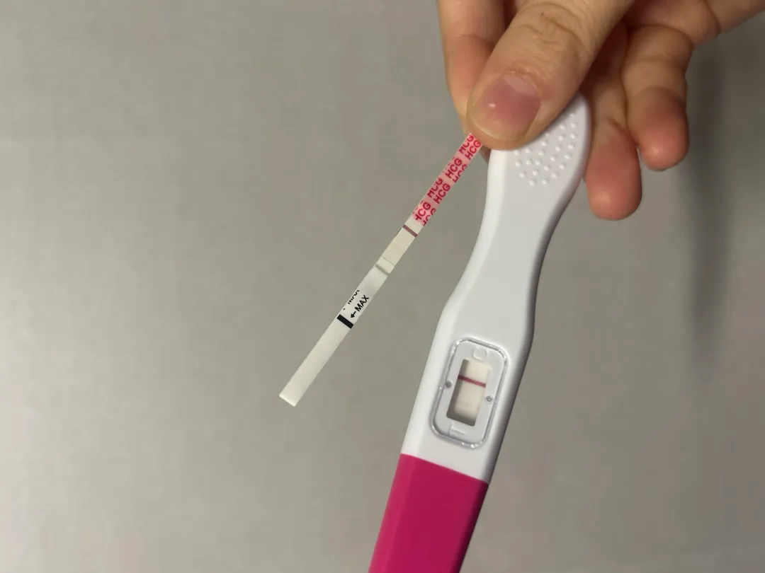 28일엔 아기집이 보이겠죠?