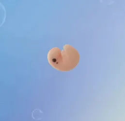 베이비빌리 아기 이미지 궁금..
