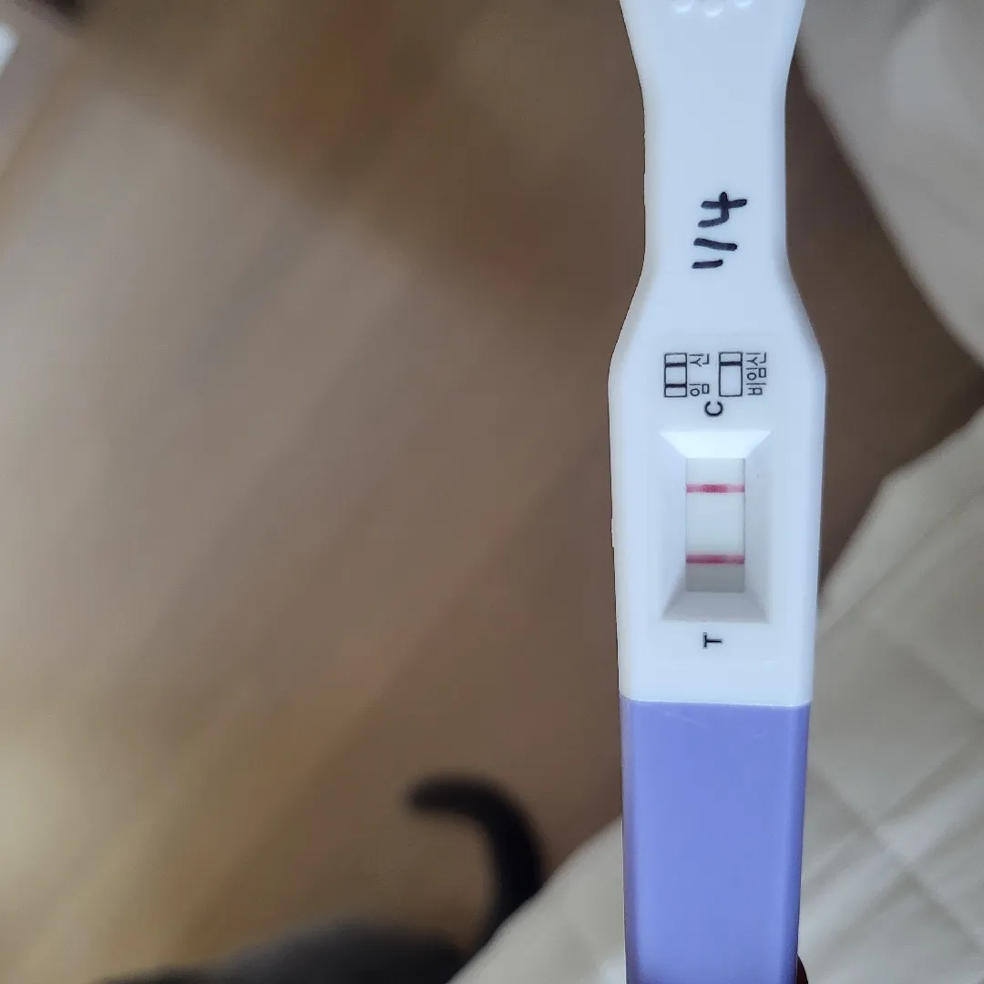 갑자기 찾아온 둘째