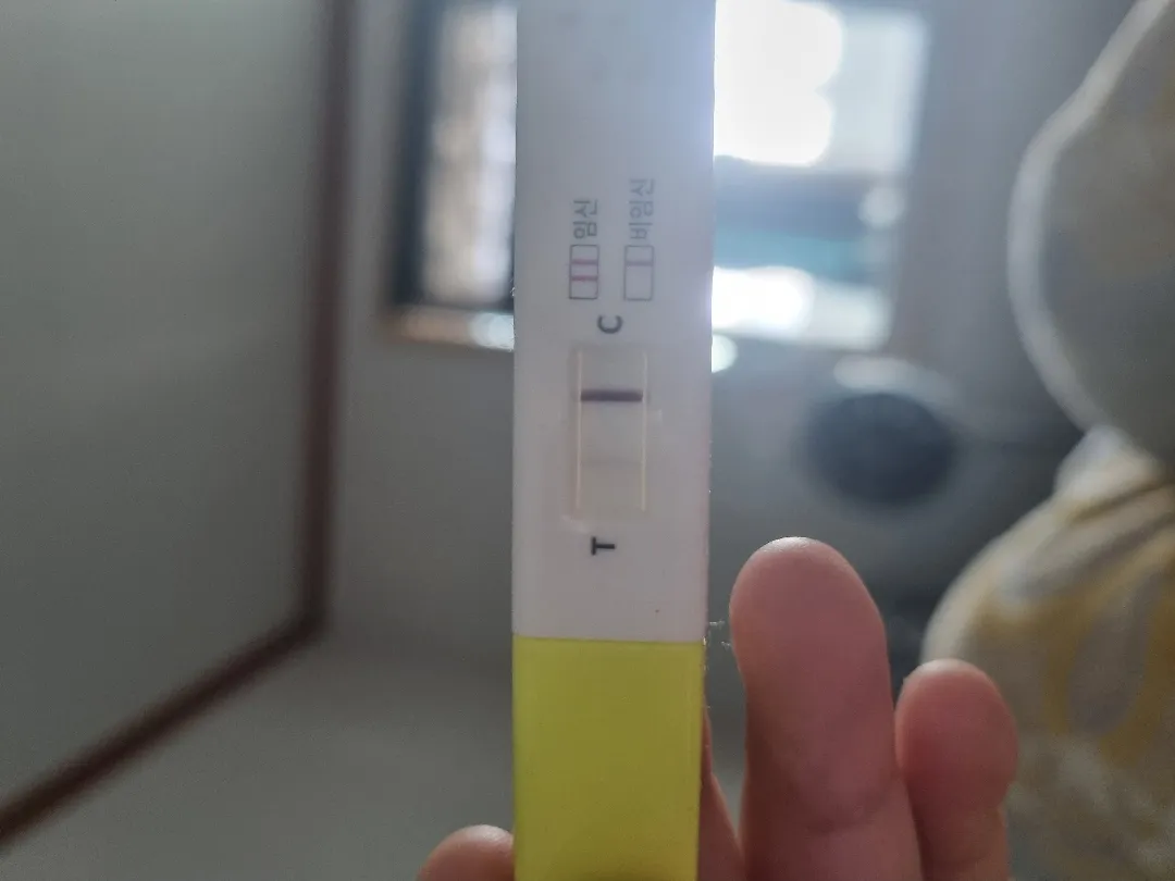 임테기