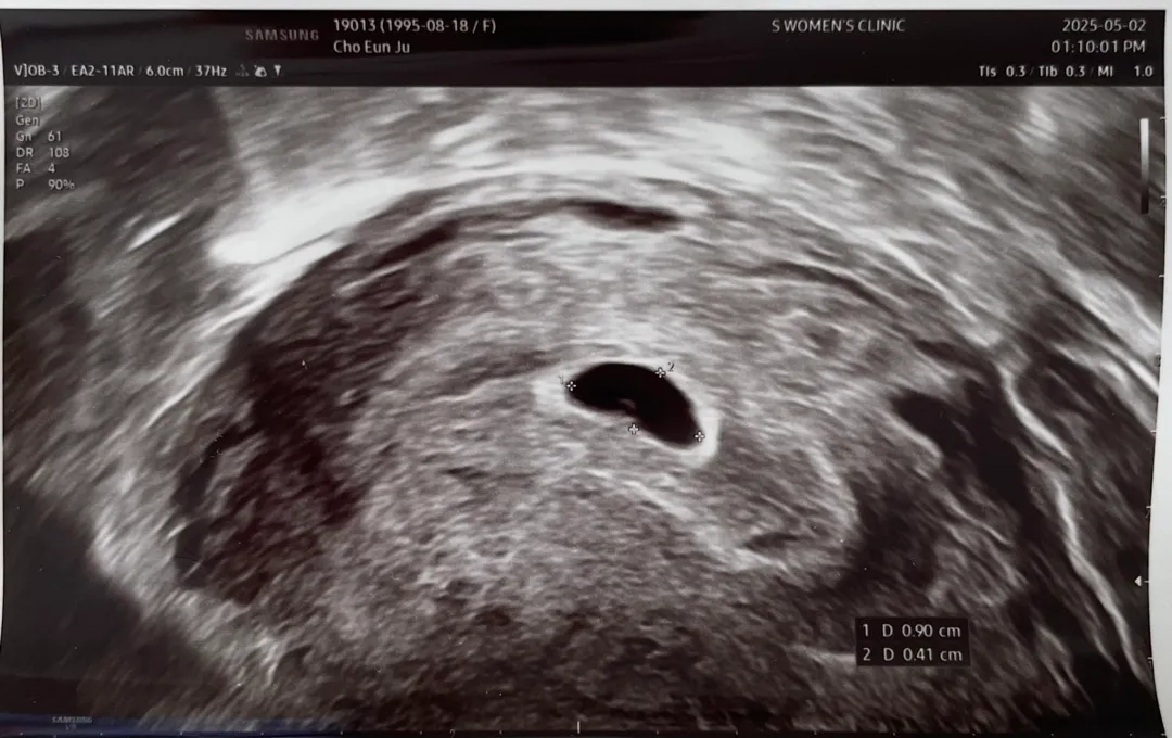 1월3일 예정이에요!