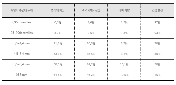 목덜미투명대 3.5mm 융모막 검사 결과 정상