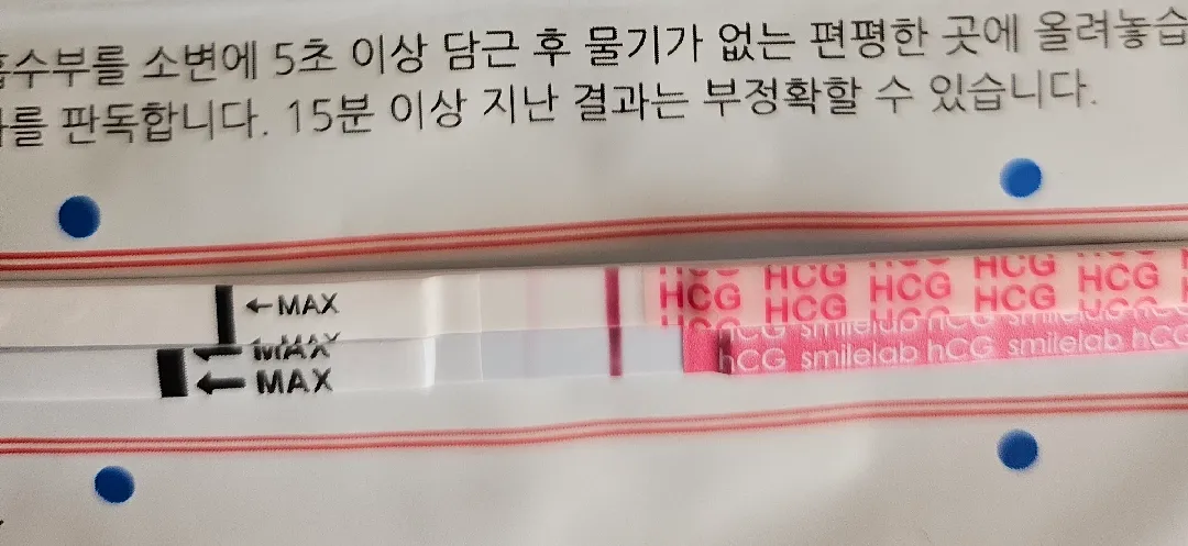 아기집 확인 시기