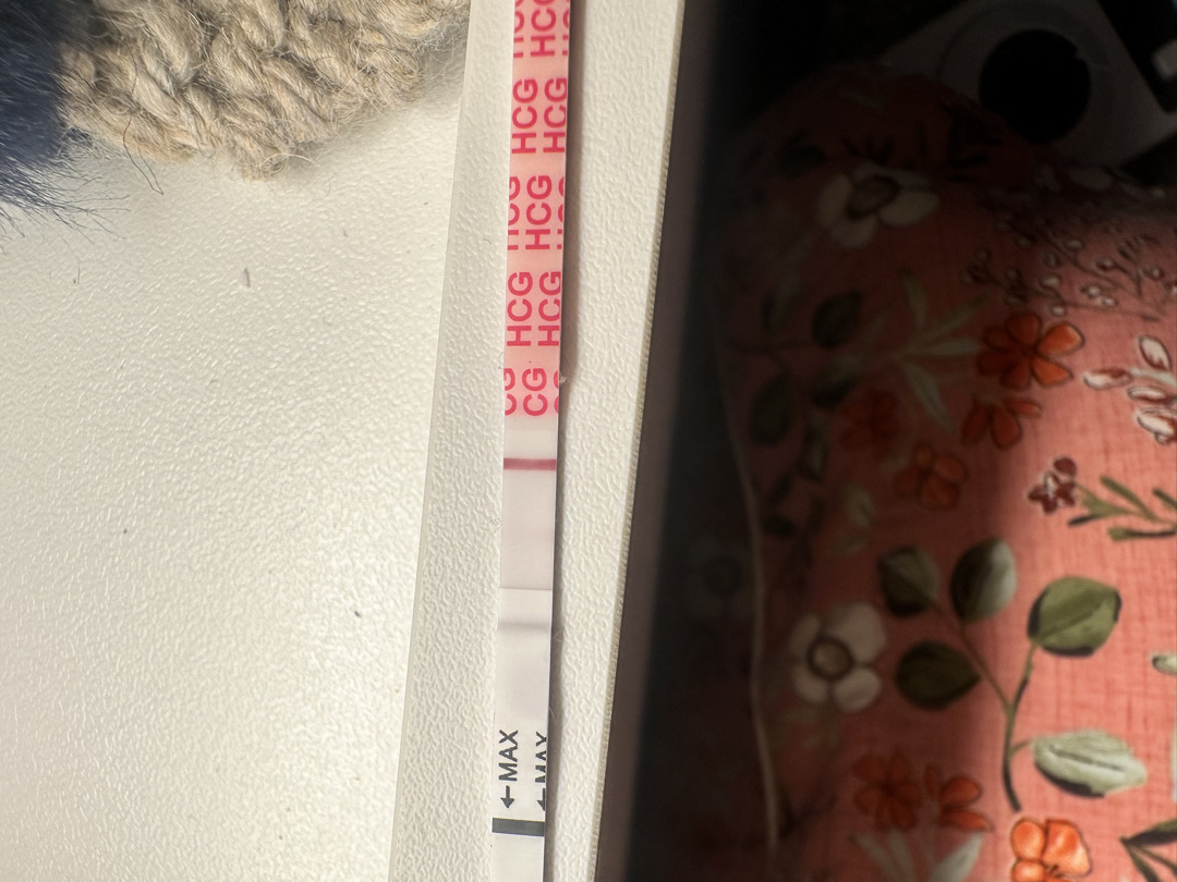 두줄 맞지;;;??!