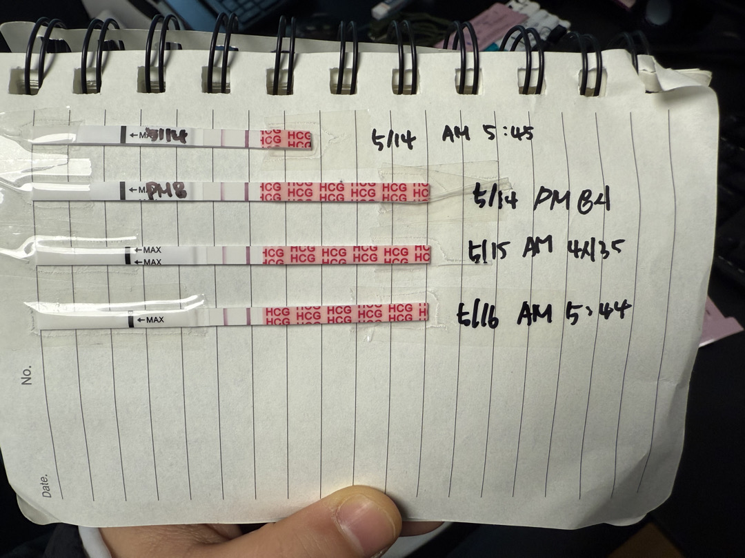 피검사 수치상 4주3일