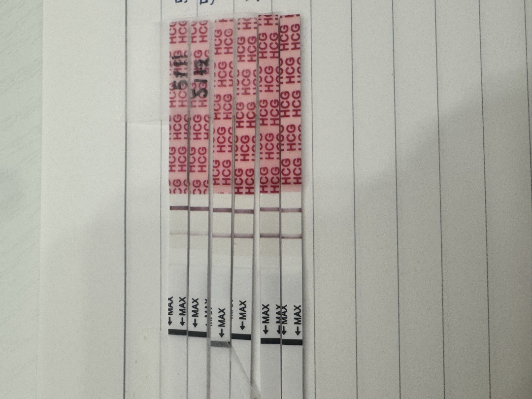 임테기 진하기 추이 어떤가요?