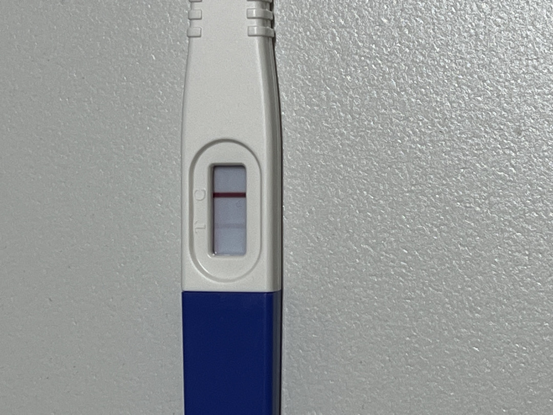 배란+14일