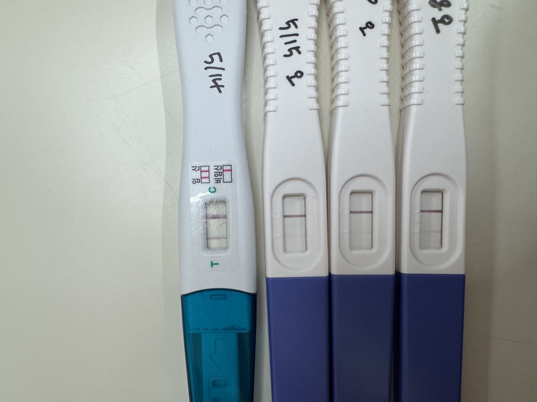 임테기가 아직 흐려서 걱정이에요 ㅠㅠ
