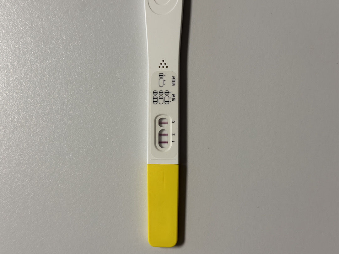 난황 보일까요 ? 