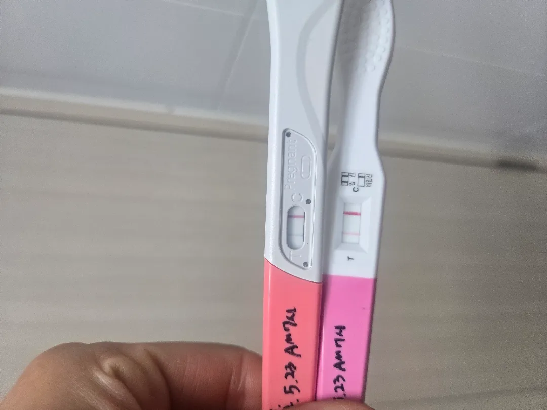 테스트기