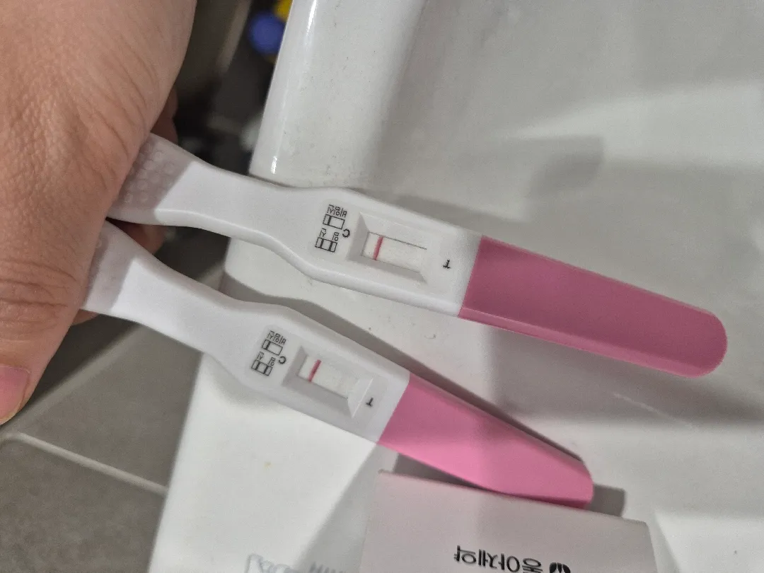 굿뉴스 얼리제품
