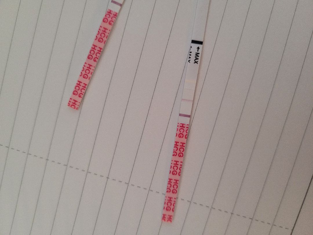임테기 질문