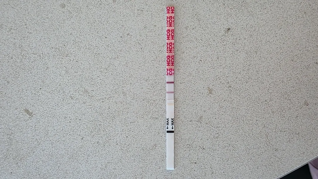 배란12일차