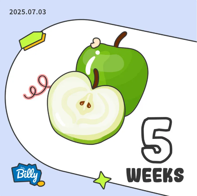 쌍둥이 확정!
