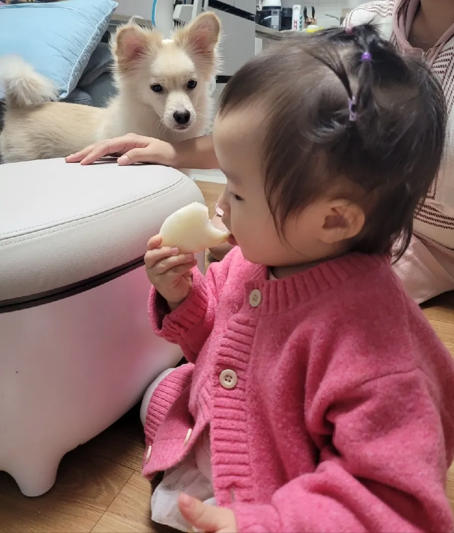 안먹는애를 잘먹는애(?)로 어떻게 만들었는지 물어보셔서..ㅎ 다시 게시글로 올려용 