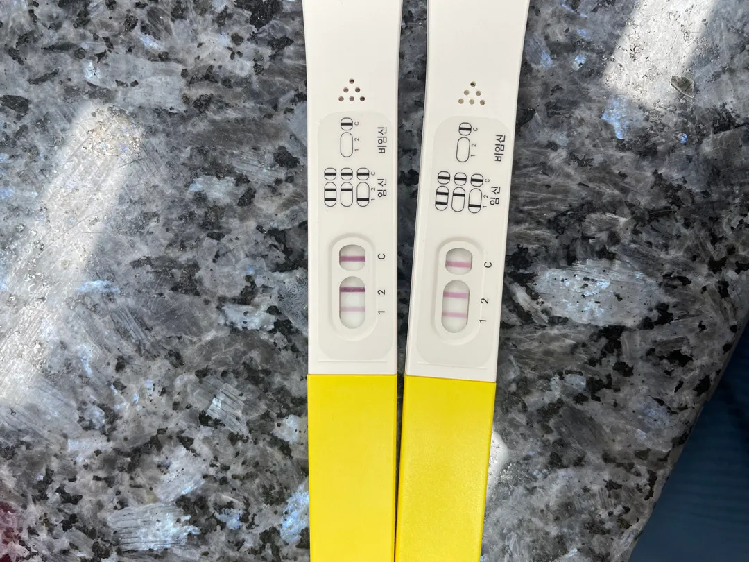 3라인 임테기