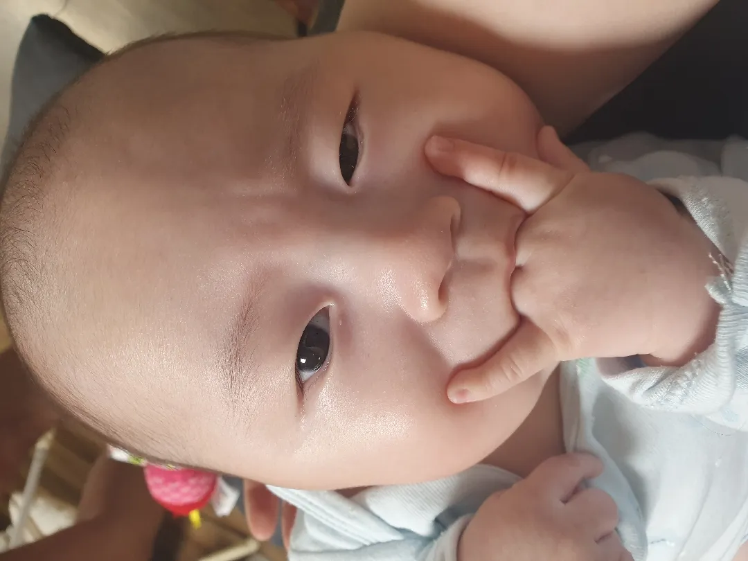 락큰록🤟🤟 벌써 마의 4개월 시작인 걸까요