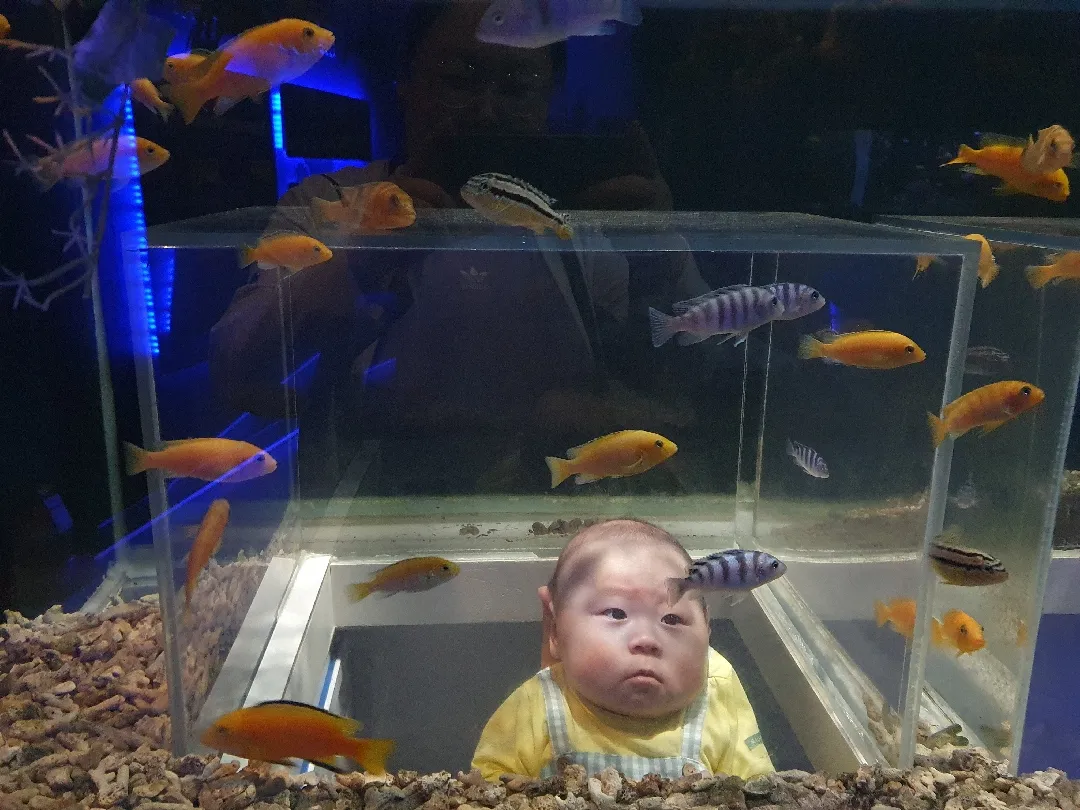 돌고래 나들이~👶