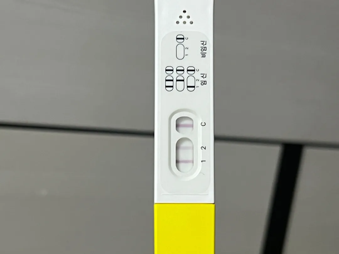 요정도면 뭐볼수있을까요? 