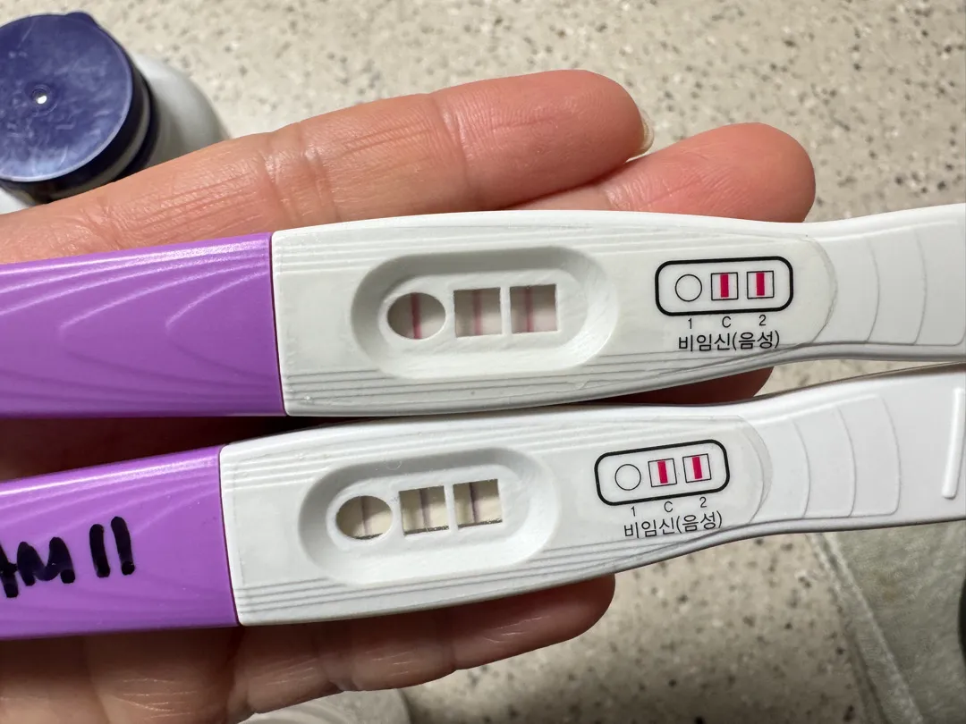 임테기 역전?!