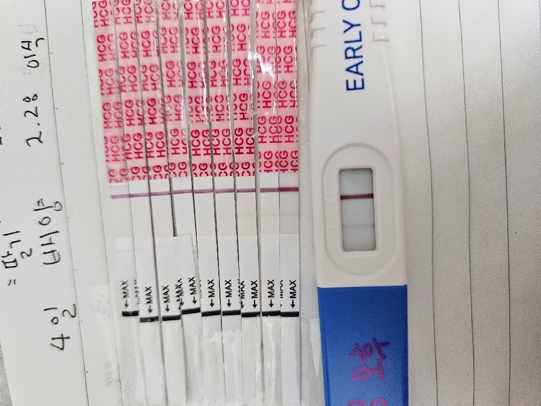 1년3개월만에 둘째가찾아왔어요