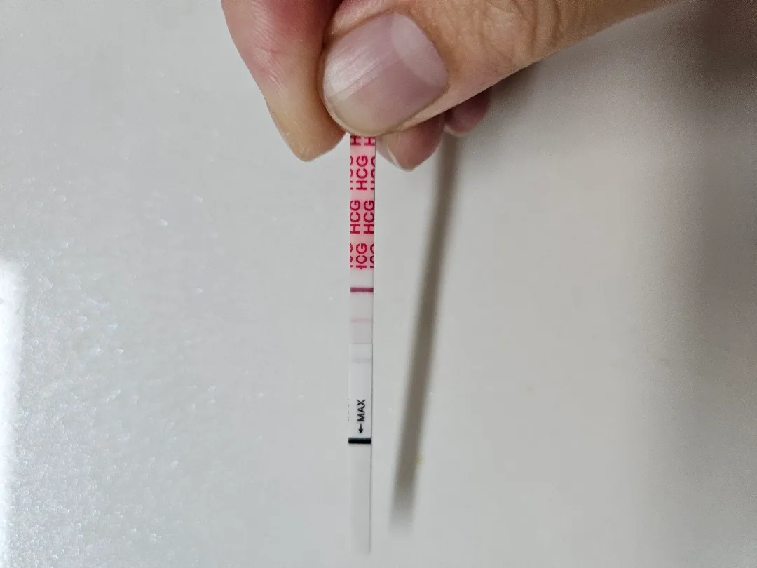 둘째가 찾아왔어요