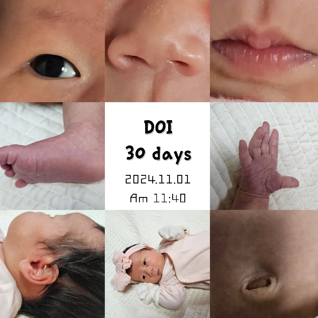 벌써 11월마지막