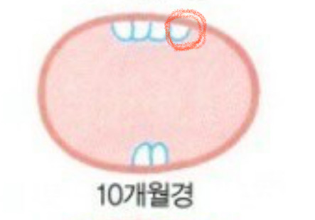 이 나는 순서