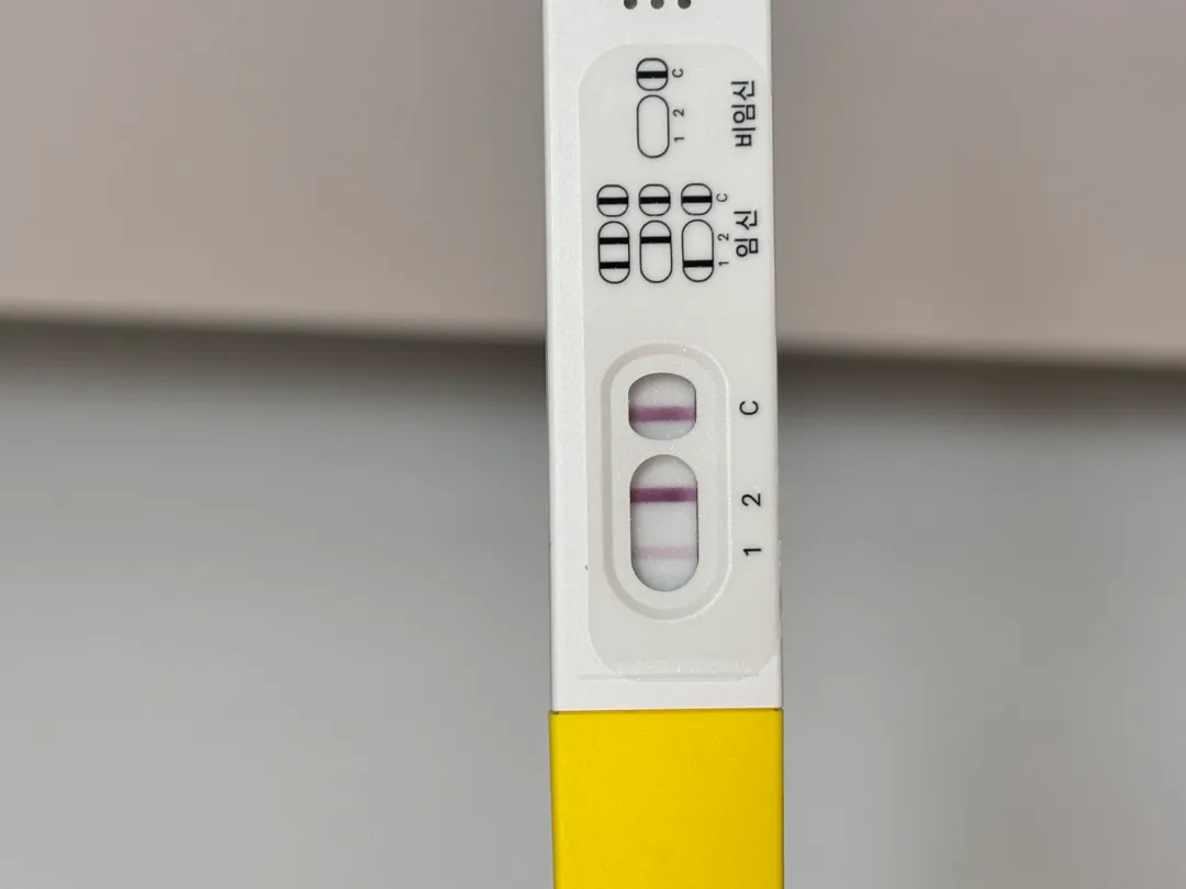 5주4일차 속이 안좋기 시작했어요,,
