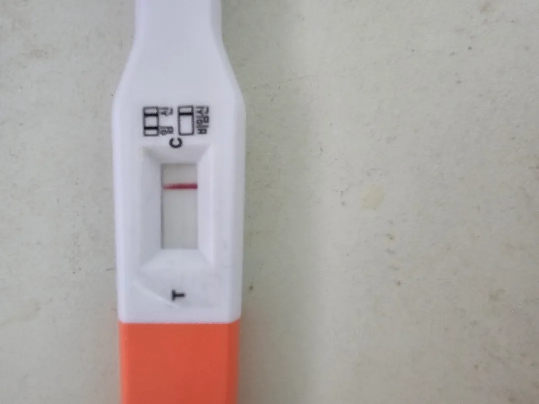 임테기질문