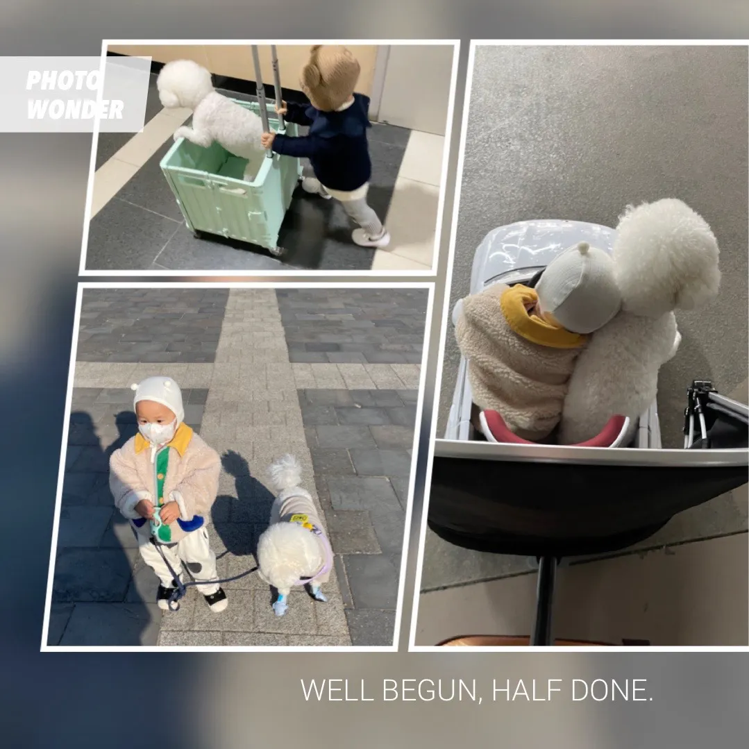 힘들지만 함께라서 더 어여쁜 애개👼🏻🐶💕