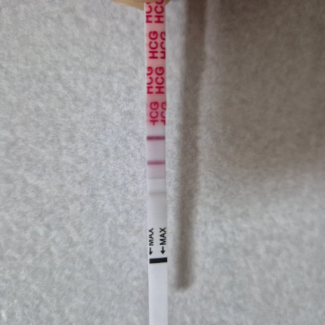 내일 아기집..볼수있을까요?