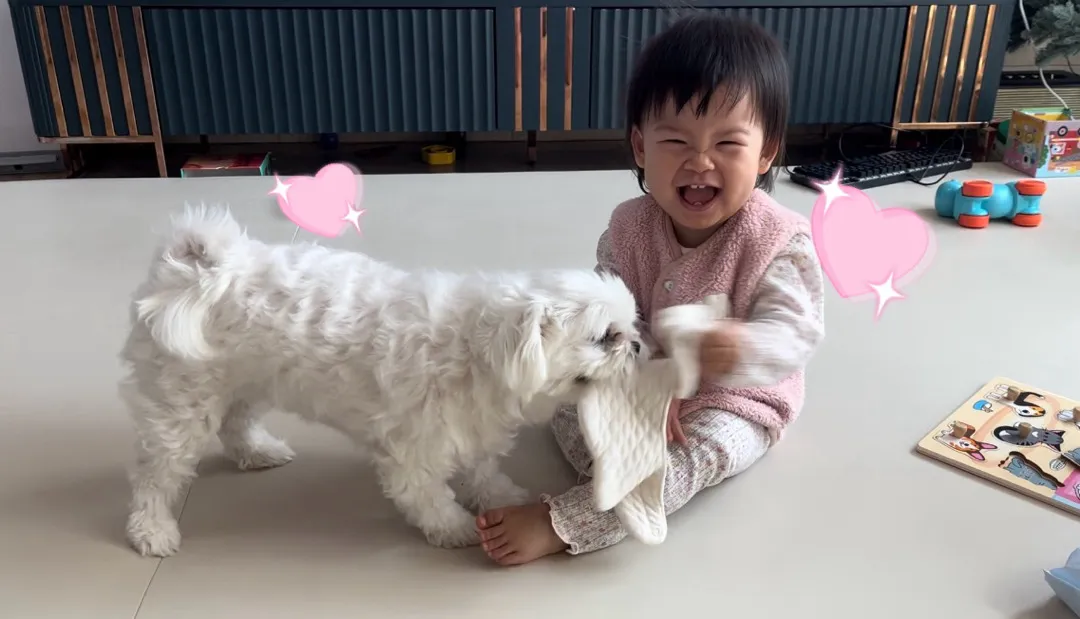 애개육아