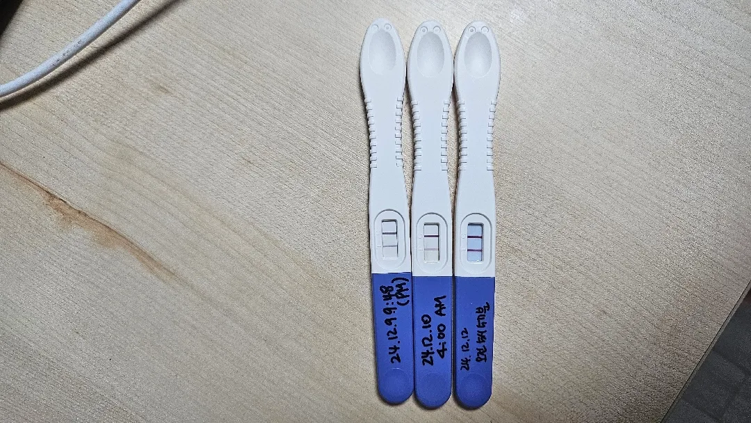 혹시나했는데 갑자기 둘찌