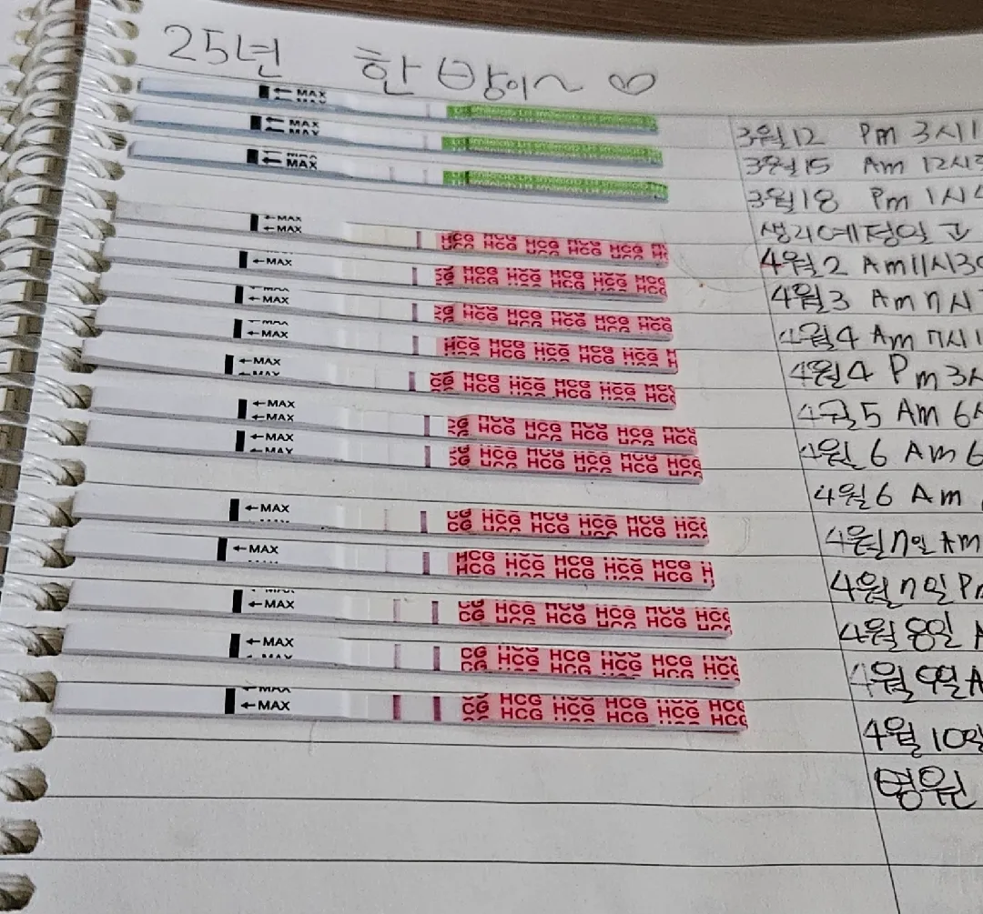 이정도면 아기집 볼수있을까요?