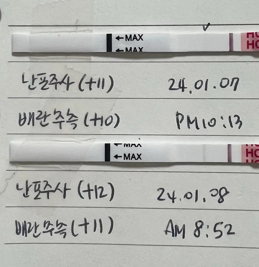 아직 병원은 안 가봤어요!