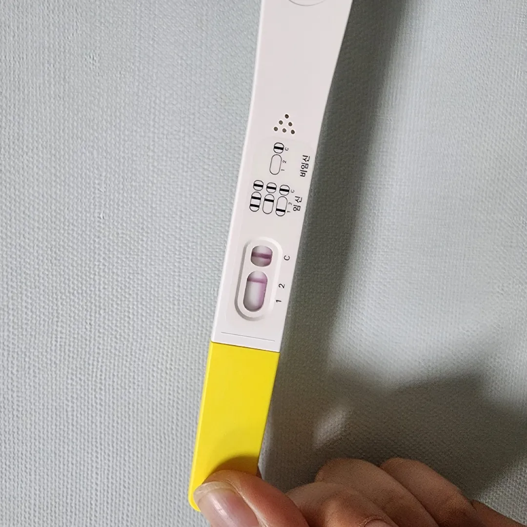 임테기진하기