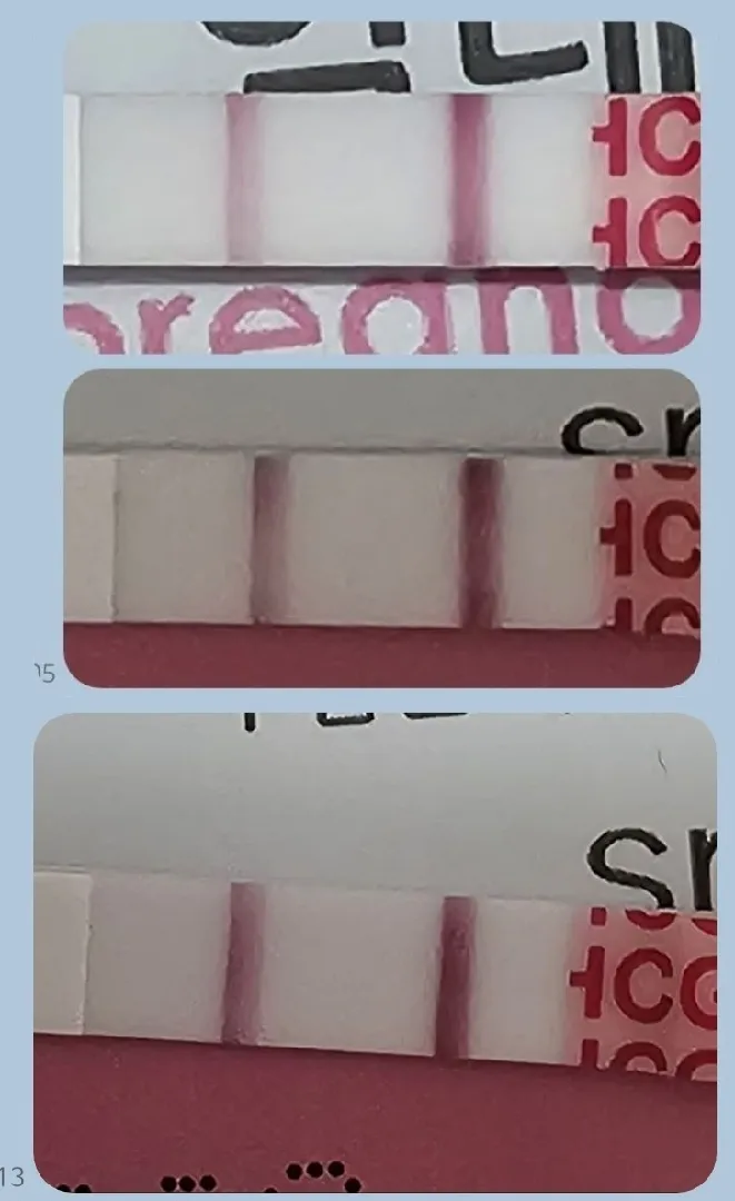 원포 점점 진해디고 있는거 맞죠?