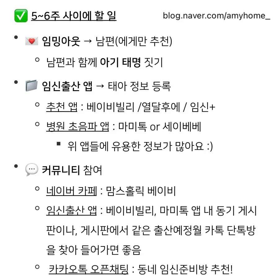 임신 4~20주 할일 체크리스트 총정리해봤어요 :)