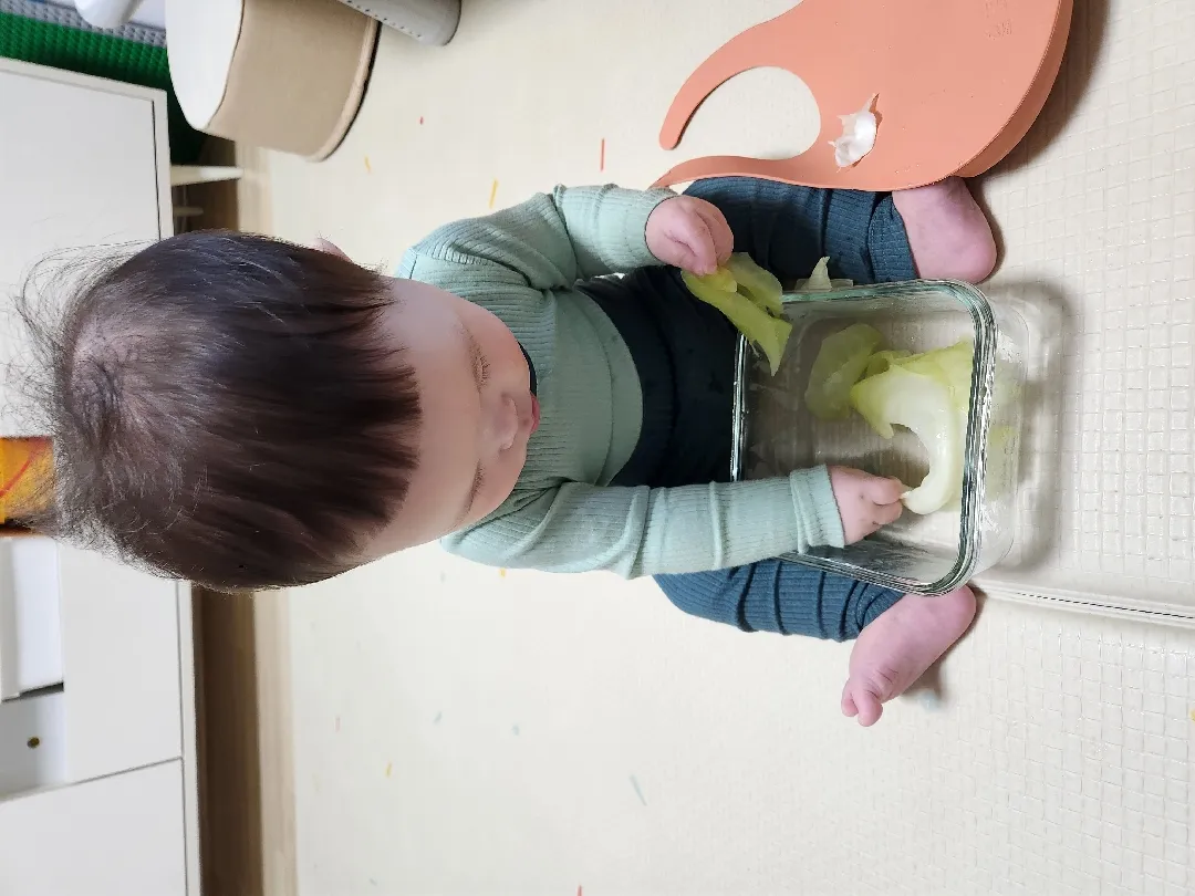 양배추를 아기에게 쥐어주면?