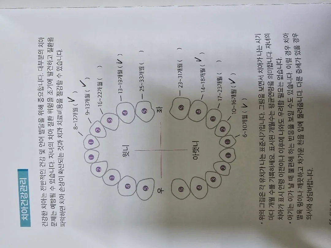 분리수면.. 하고 계신 분..?