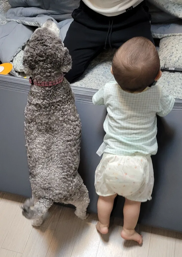 애개육아~ 우리는 절친~♡