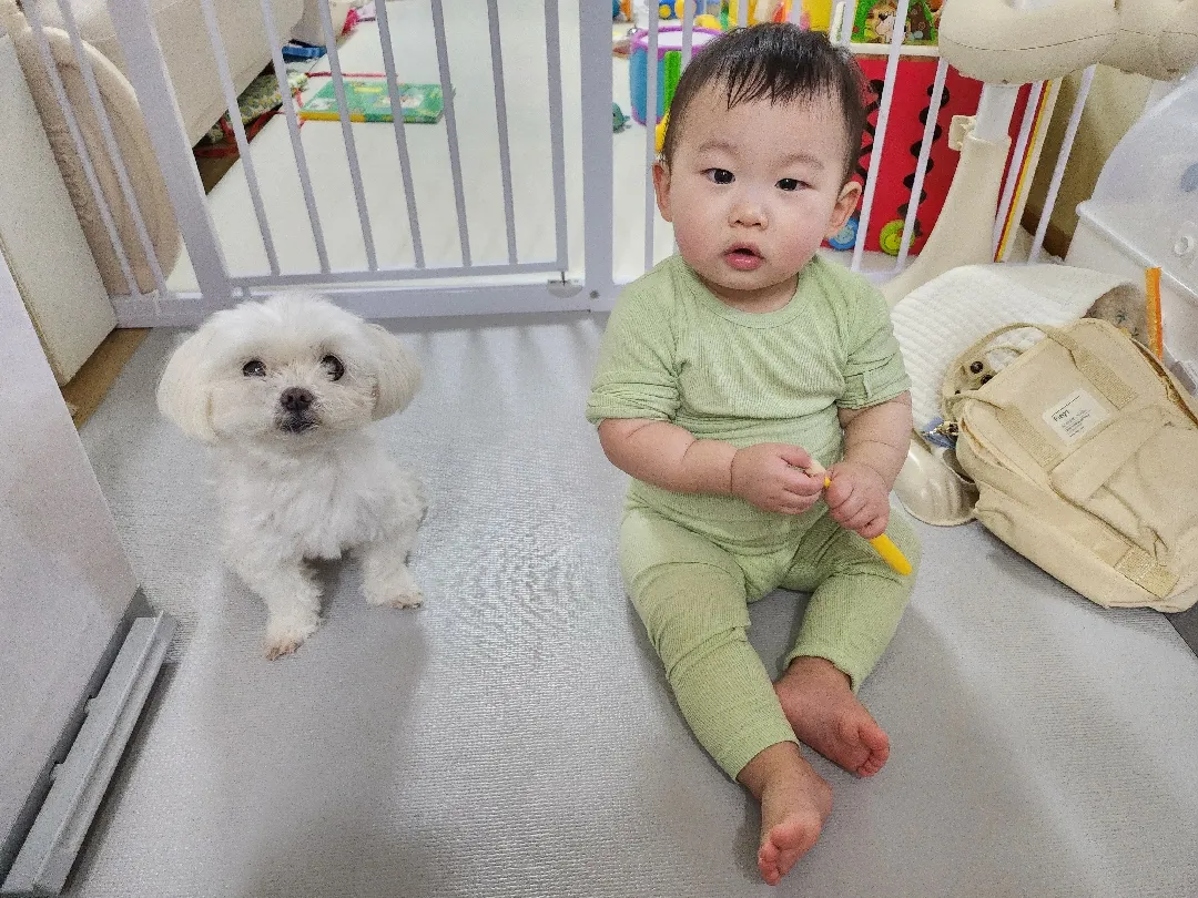 치카치카 양치시간에도 댕댕이와 함께🩷