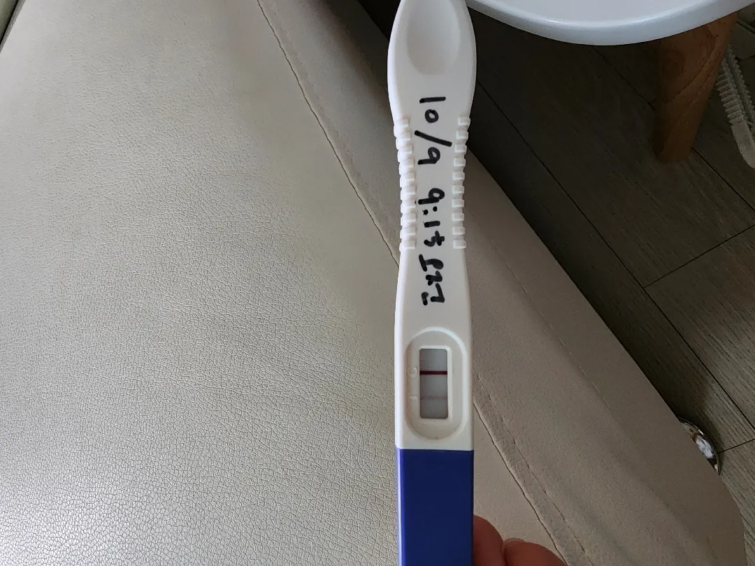 둘찌가 찾아왔네요