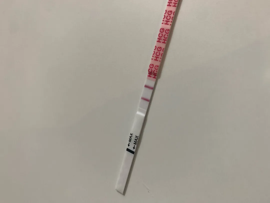둘찌?🤭