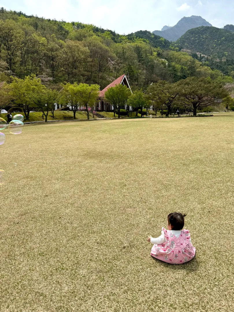 이유식에서 유아식으로 ..