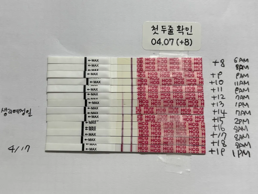 임테기를 매일매일 하게되네요