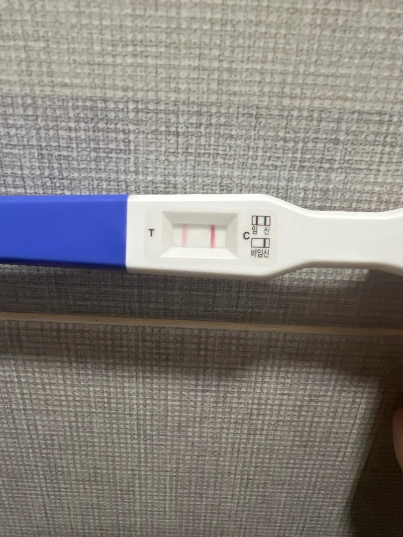 아기집 보일까요?